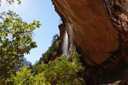 Zion N.P.